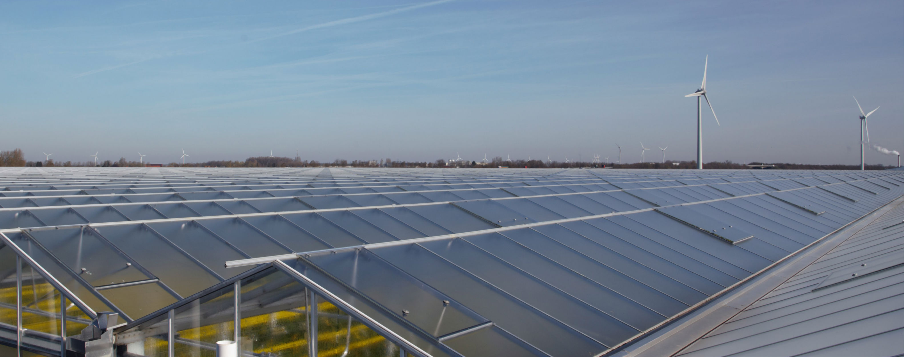 Greenhouse Roof