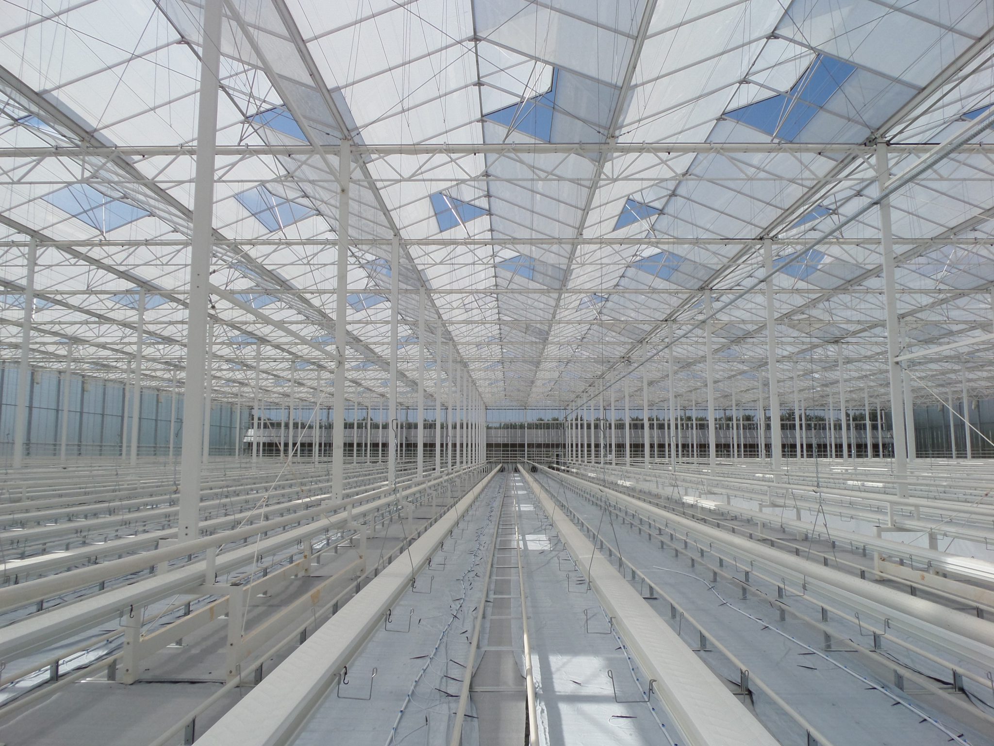 A semi-closed greenhouse solution | Alcomij