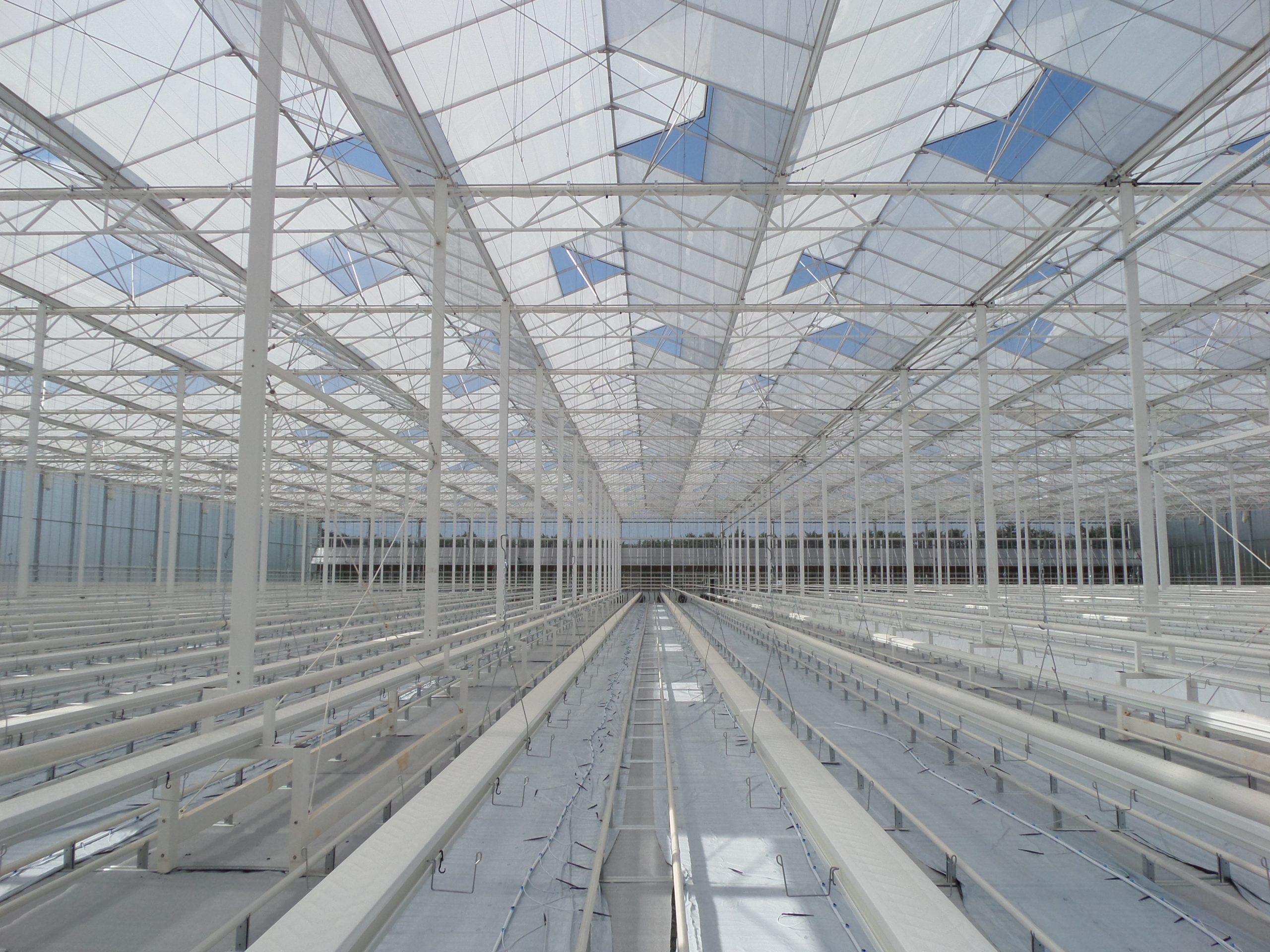 A semi closed greenhouse solution Alcomij